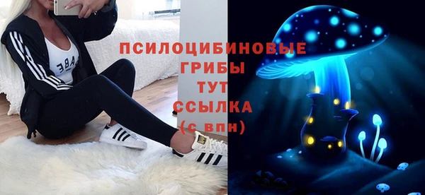 mix Горняк