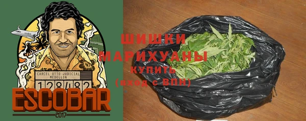 прущие грибы Гусь-Хрустальный