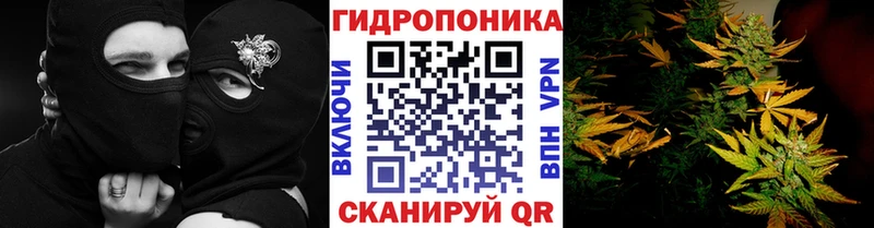 МАРИХУАНА Amnesia  Купить закладки  Белогорск 